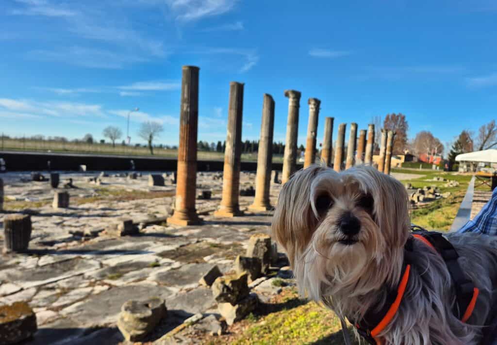 Ausgrabungen von Aquileia in Norditalien – Ausflug mit Hund