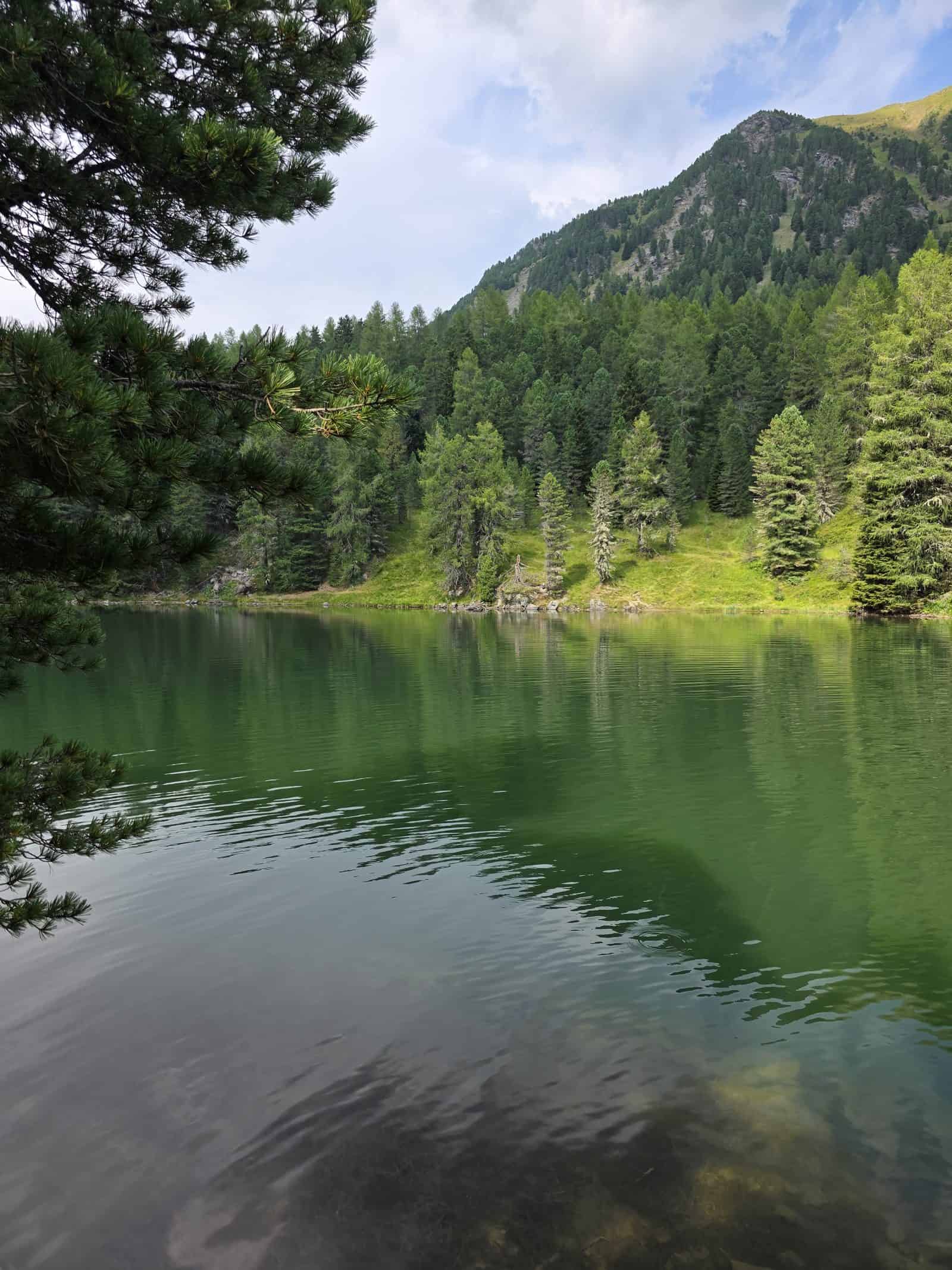 Der Grünsee auf der Turracher Höhe mit tiefgrünem Wasser und Nadelwald