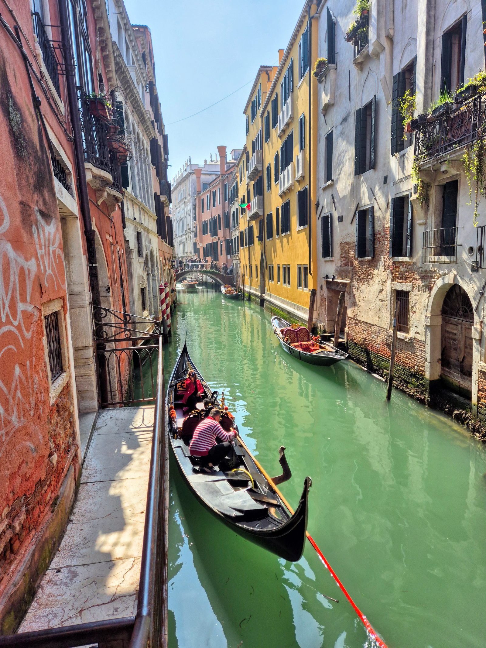 Bambola auf dem Arm über dem Canal Grande — im Gedränge wird der Hund getragen